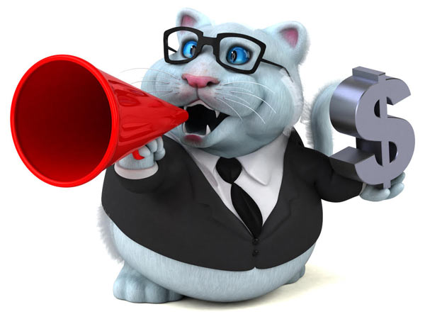 Infographic of requirements for no credit check loans SA