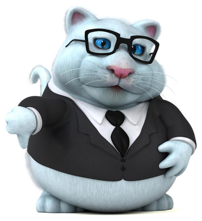 FatCat showing thumb down for bad credit loans in South Africa