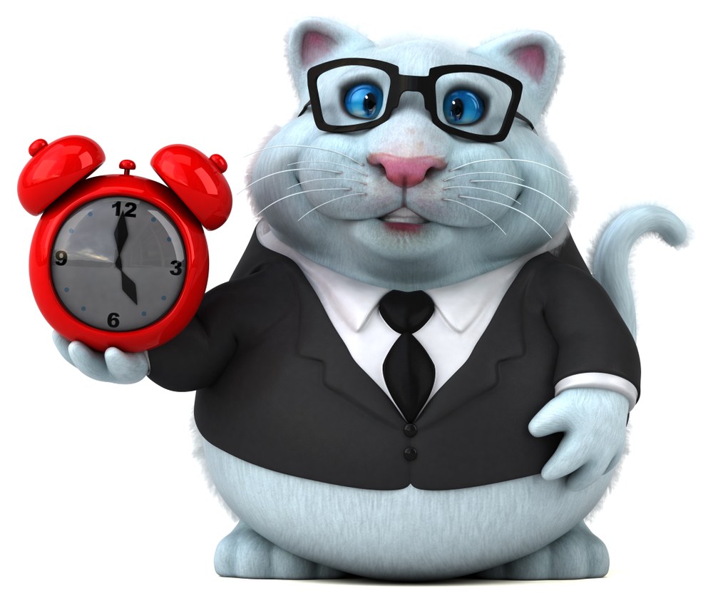 FatCat holding a clock for quick loans in South Africa