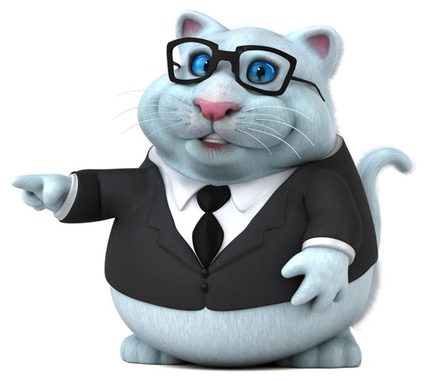 Debt consolidation loan repayment plan