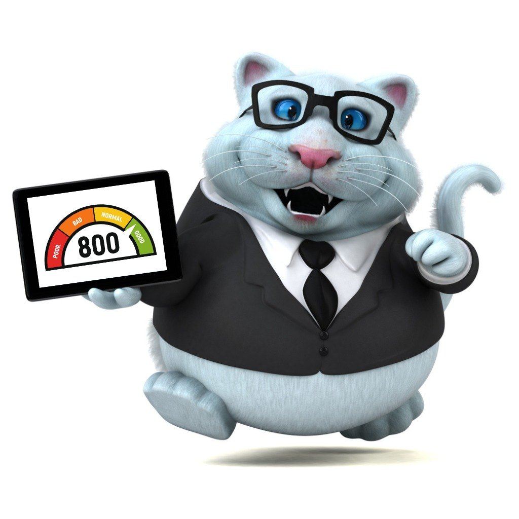 Understand and Improve Your Credit Score South Africa